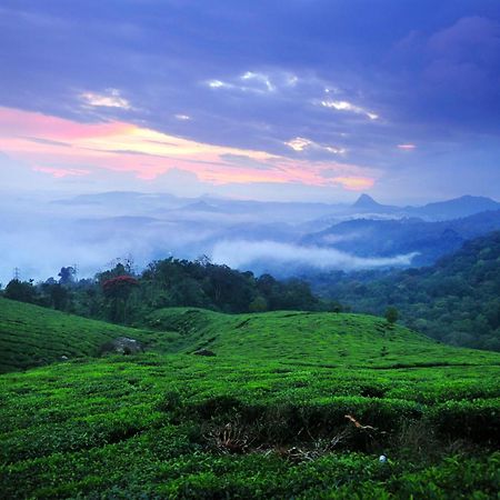 Hotel Violet Woods Munnar Exterior foto
