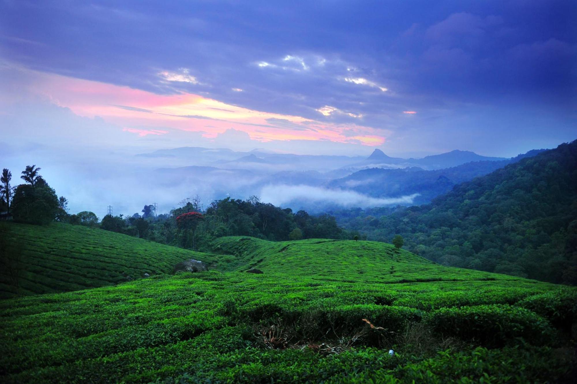 Hotel Violet Woods Munnar Exterior foto